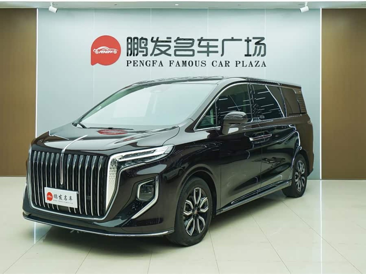 HongQi HQ9 2023 car image 