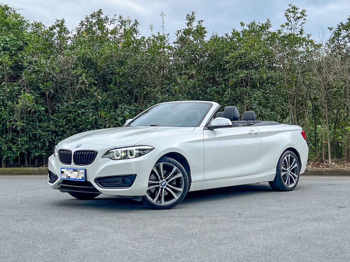 BMW 2 Series 2019 car image 