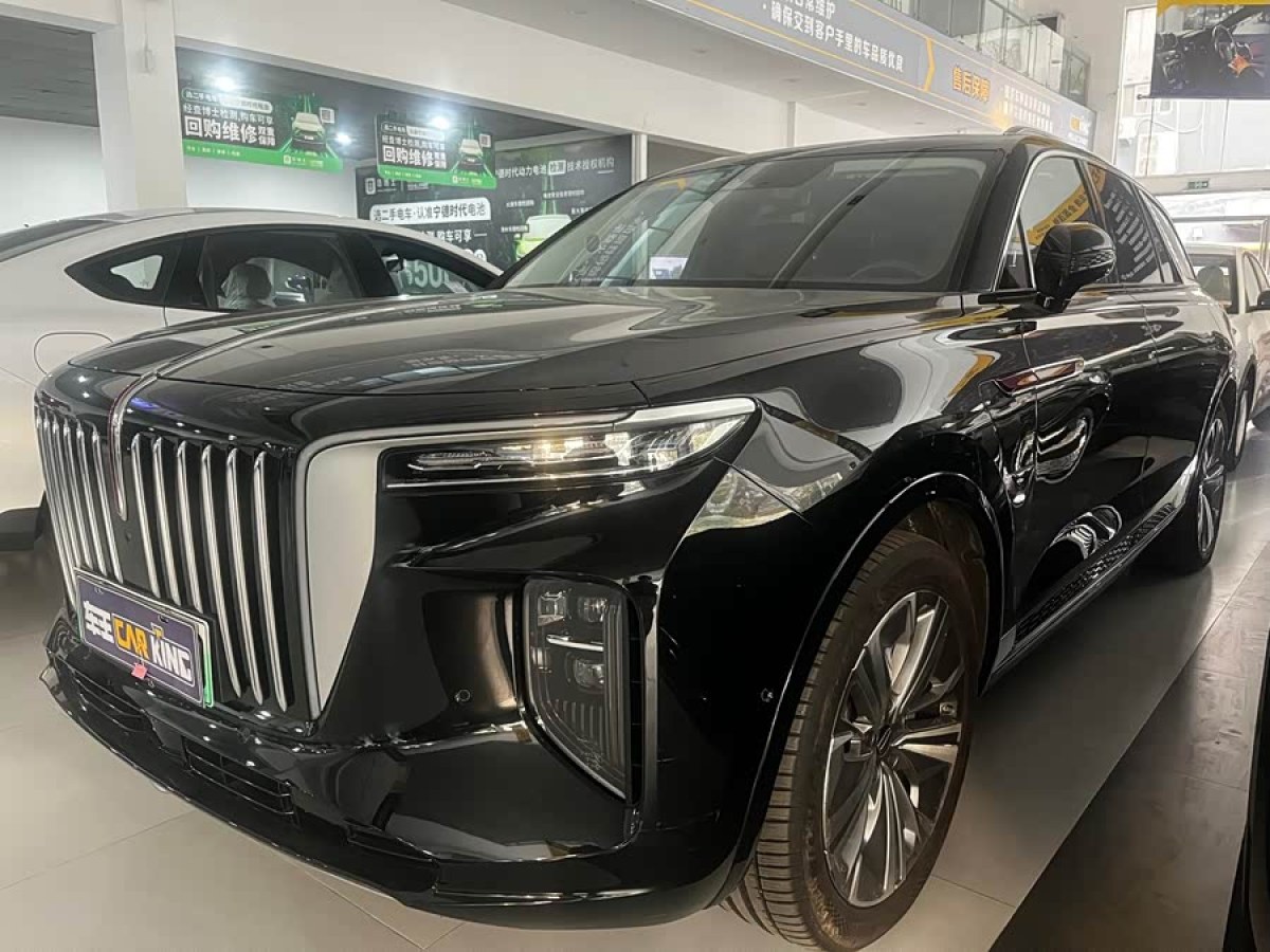 HongQi E-HS9 2023 car image 