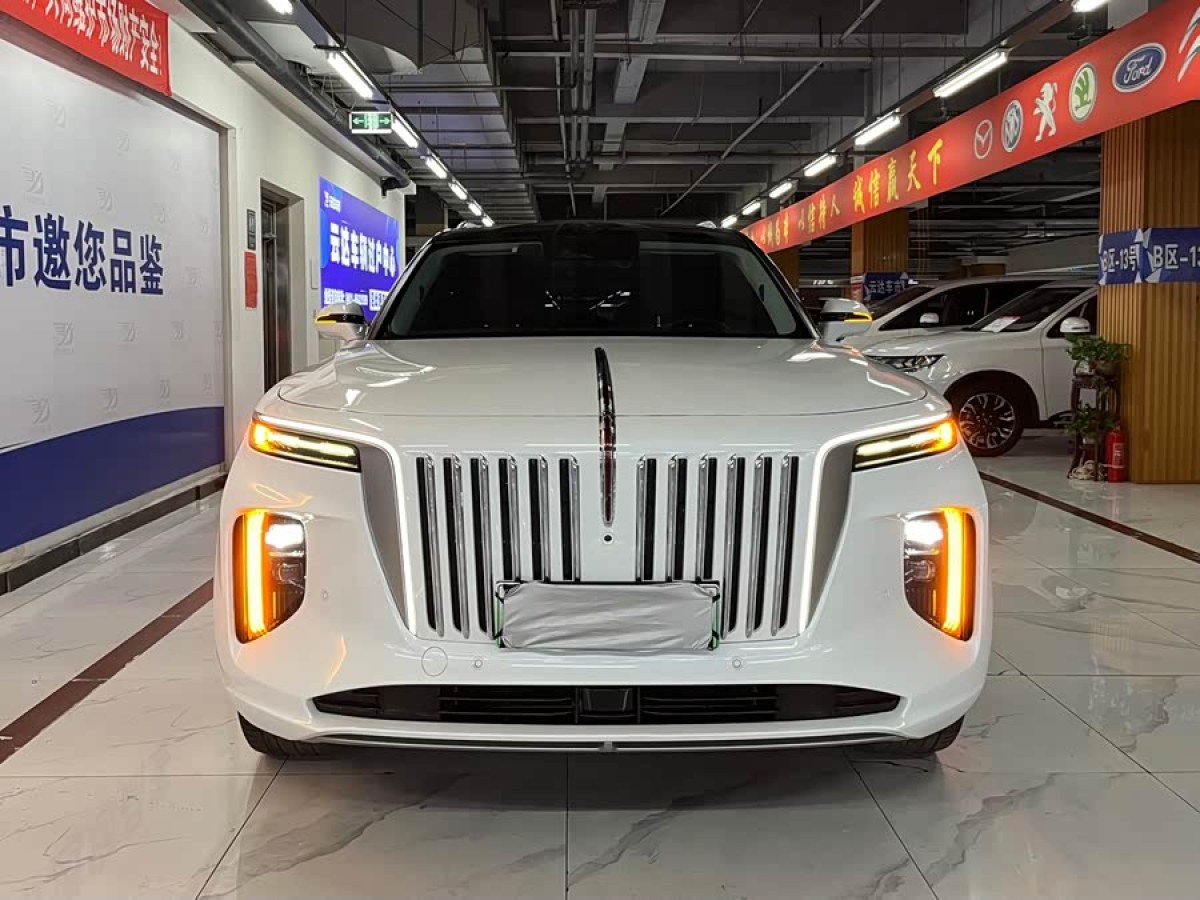HongQi E-HS9 2021 car image 