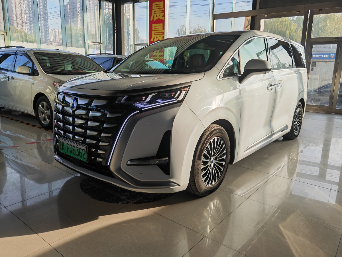 Denza N8L 2022 imagen de coche 