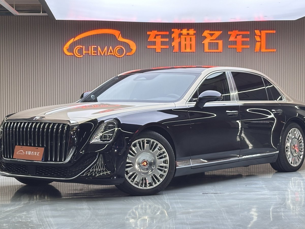 HongQi GuoYa 2024 car image 