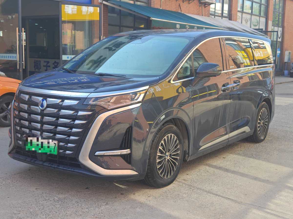 Denza DENZA car image 