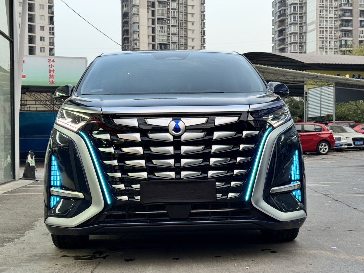 腾势 腾势D9 2024 汽车图片 