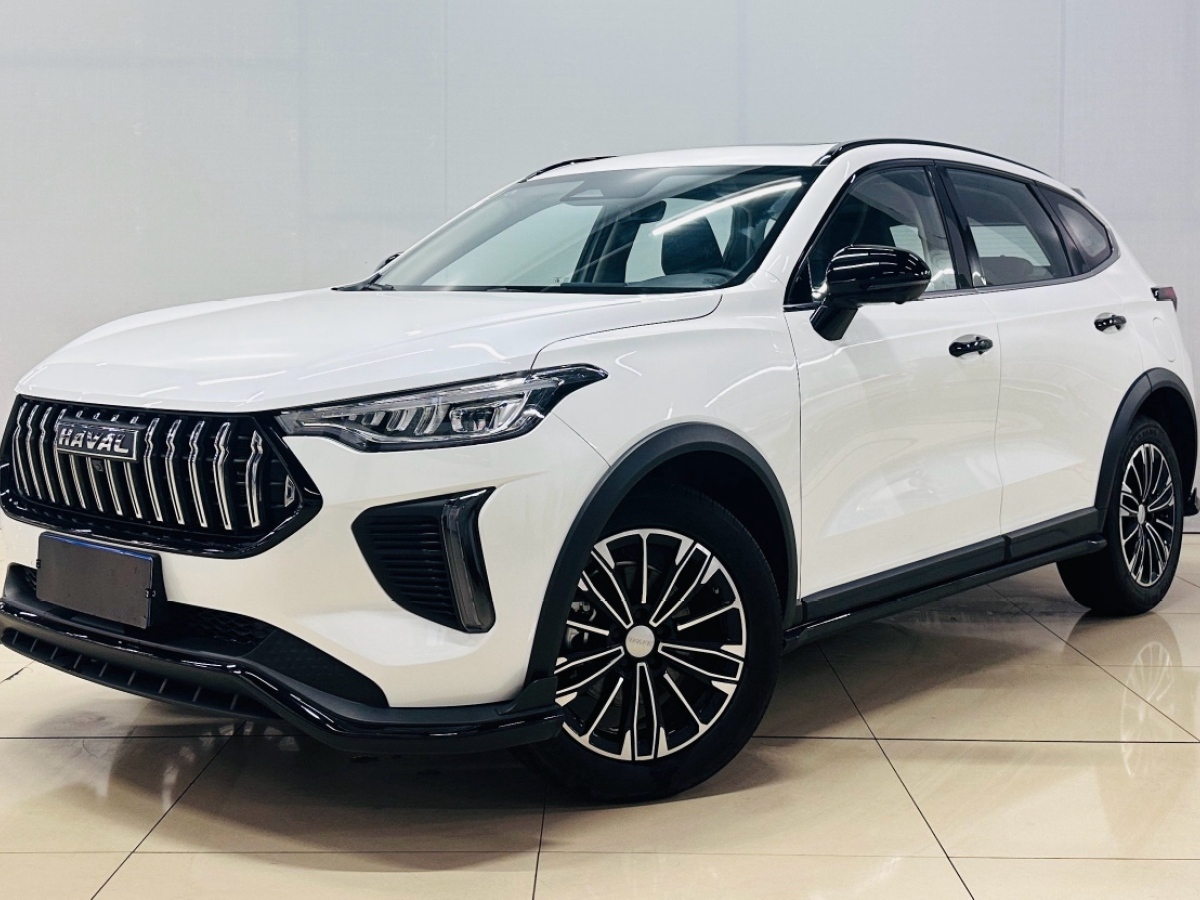Haval Rabbit 2024 car image 