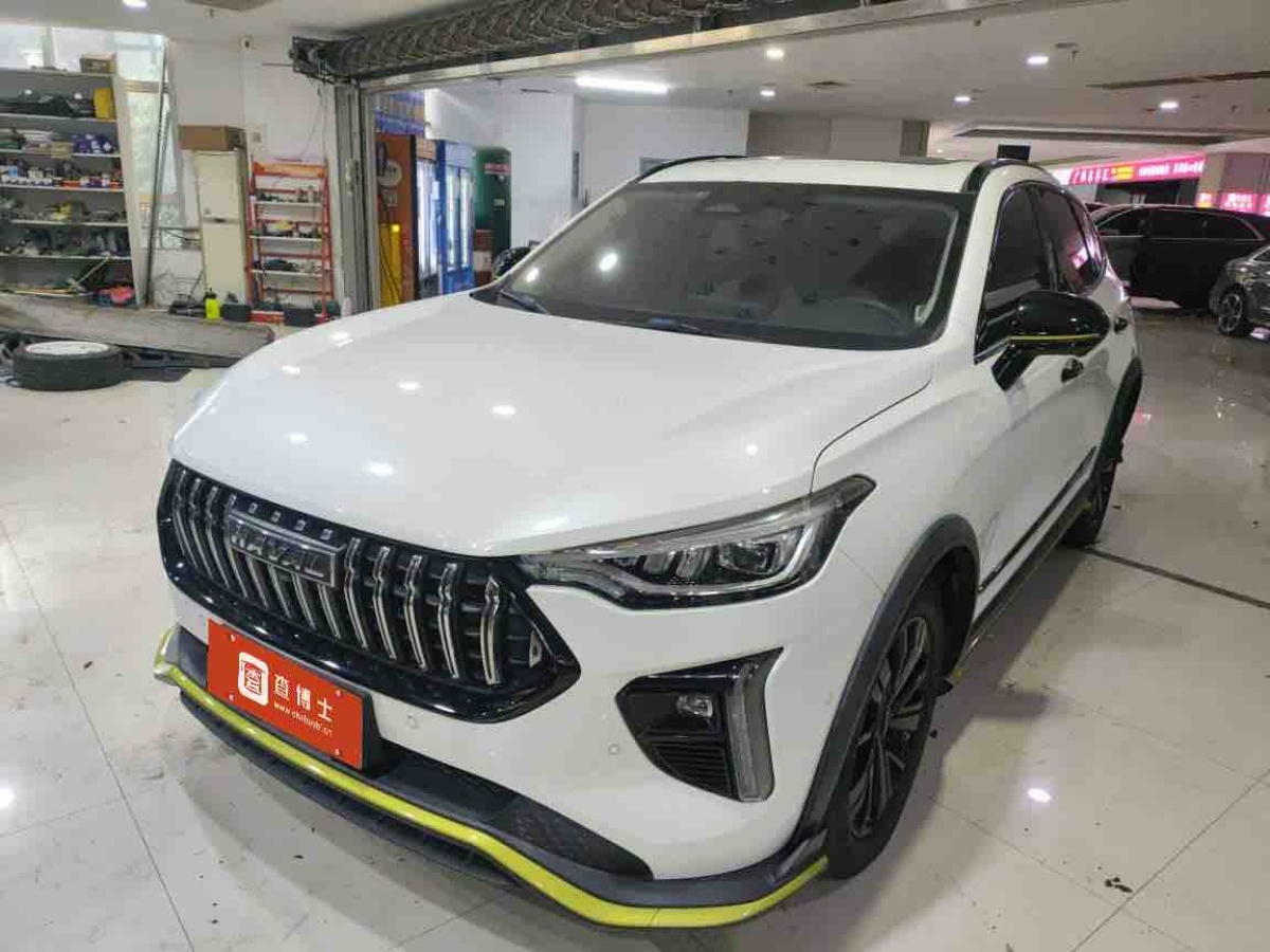 Haval Rabbit 2021 car image 