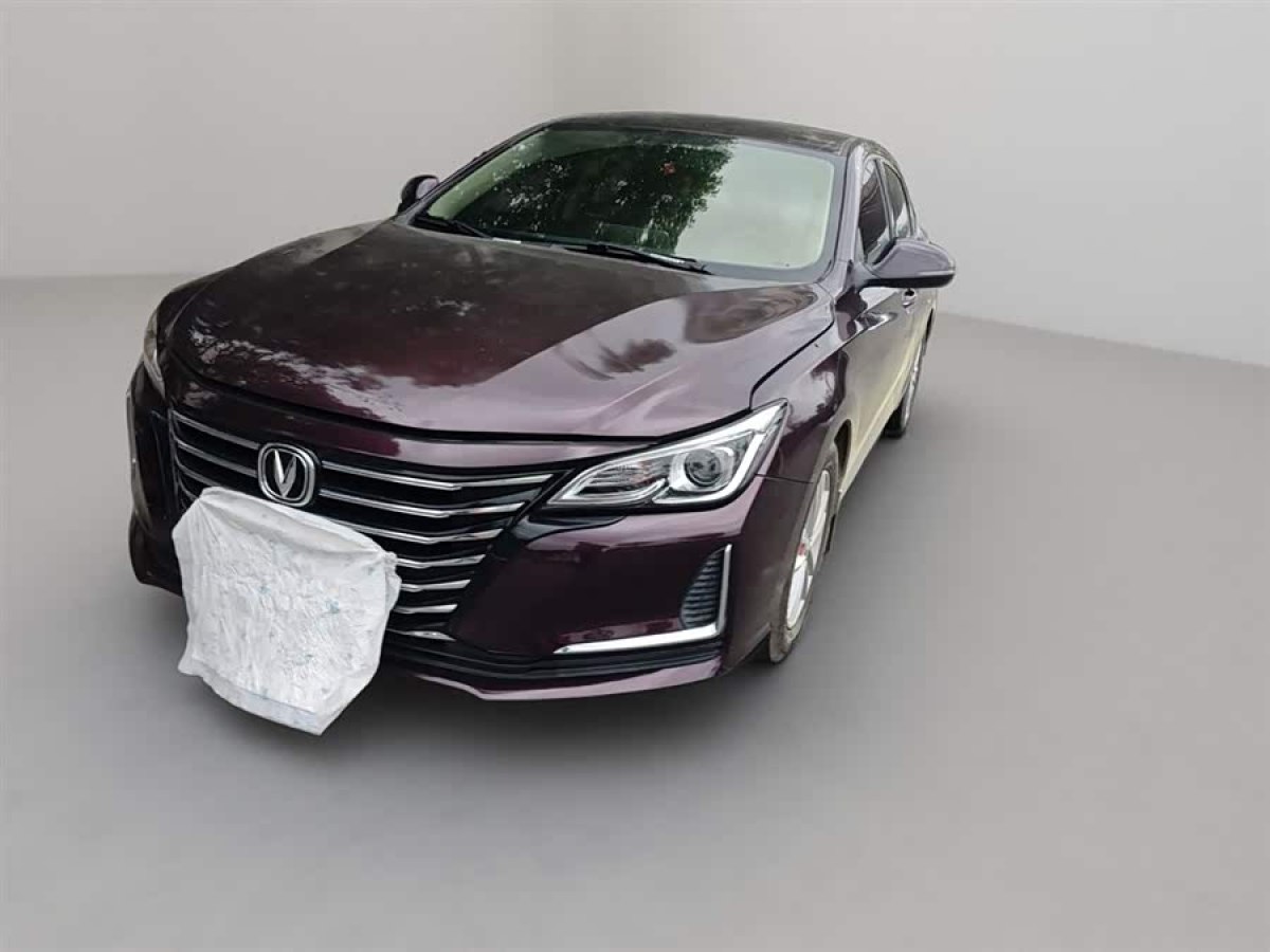 Changan Raeton CC 2019 汽车图片 