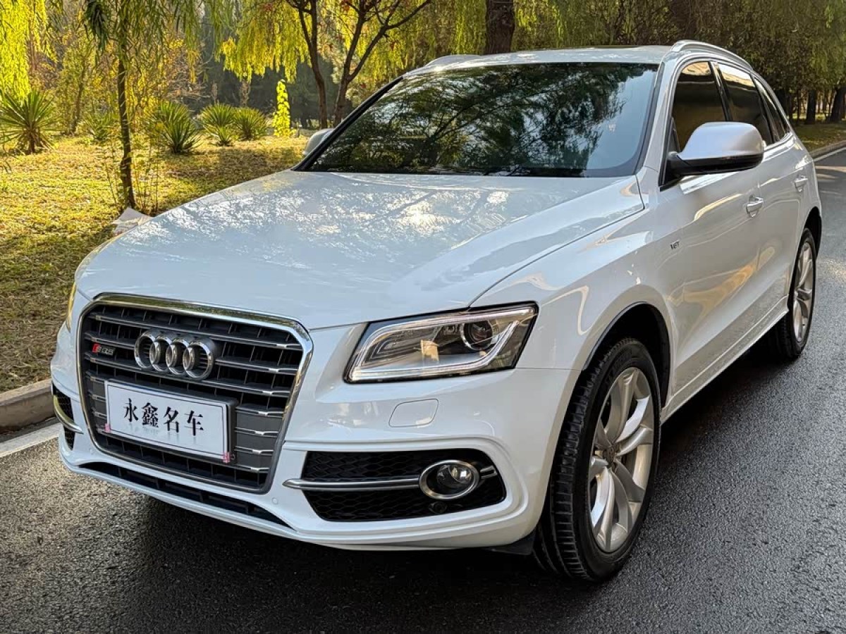 Audi SQ5 2014 imagen de coche 