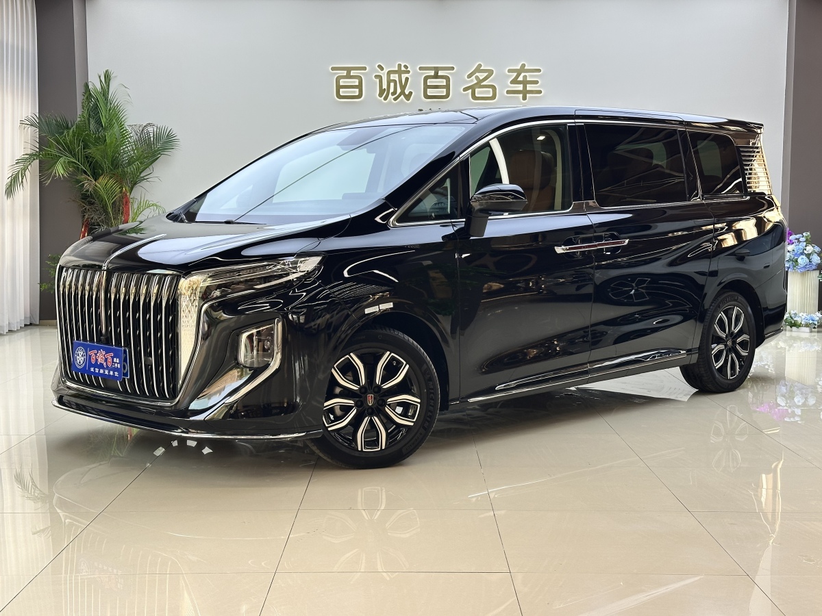 HongQi HQ9 2023 car image 
