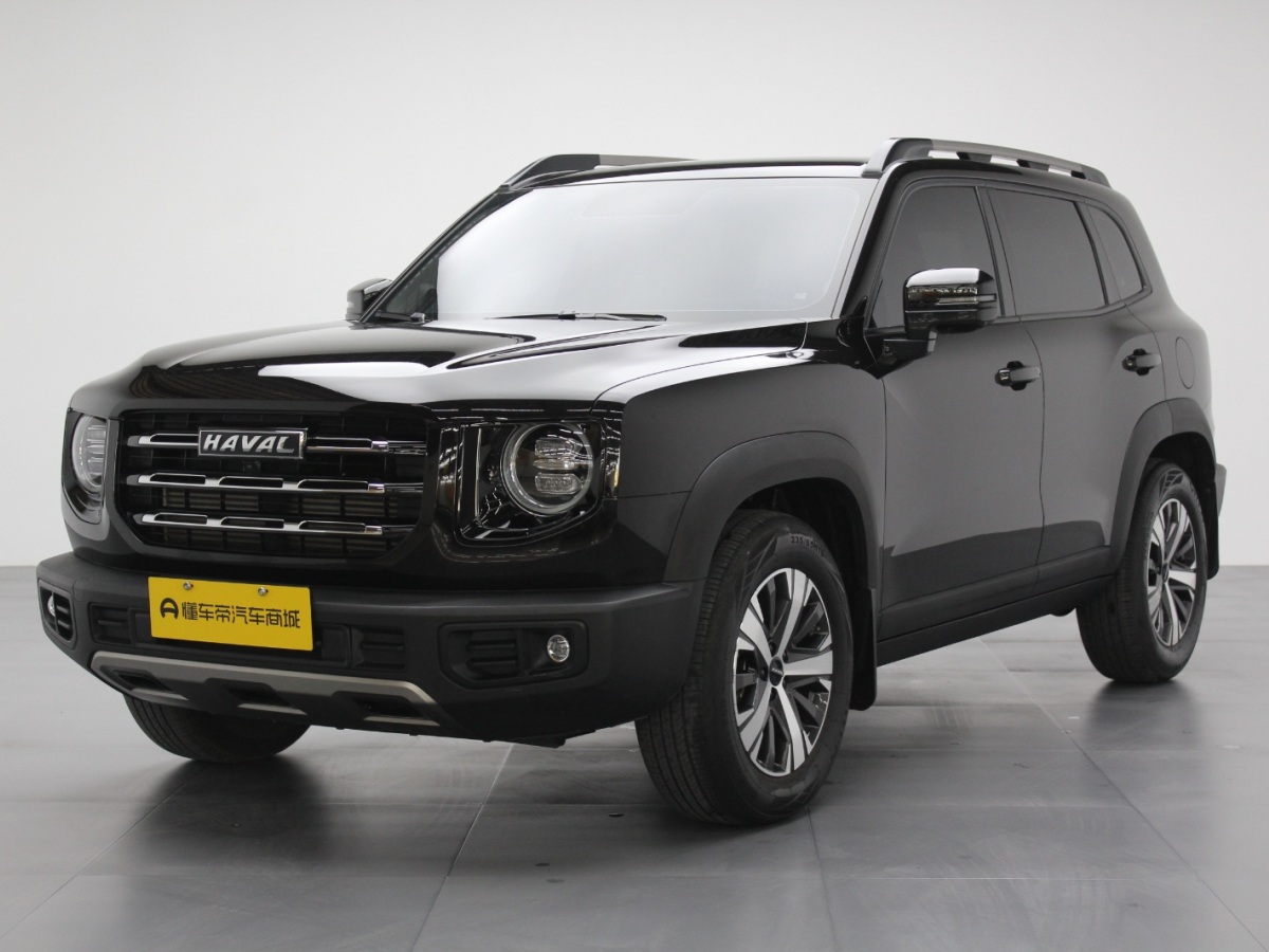 Haval X Dog / Dargo 2021 car image 