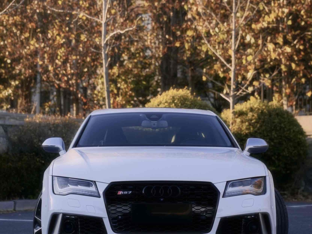 Audi S7 2014 car image 