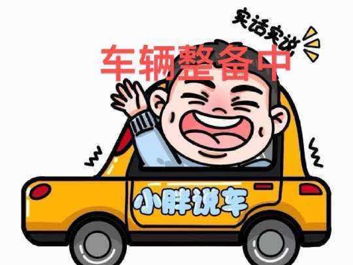 Haval Raptor 2024 car image 