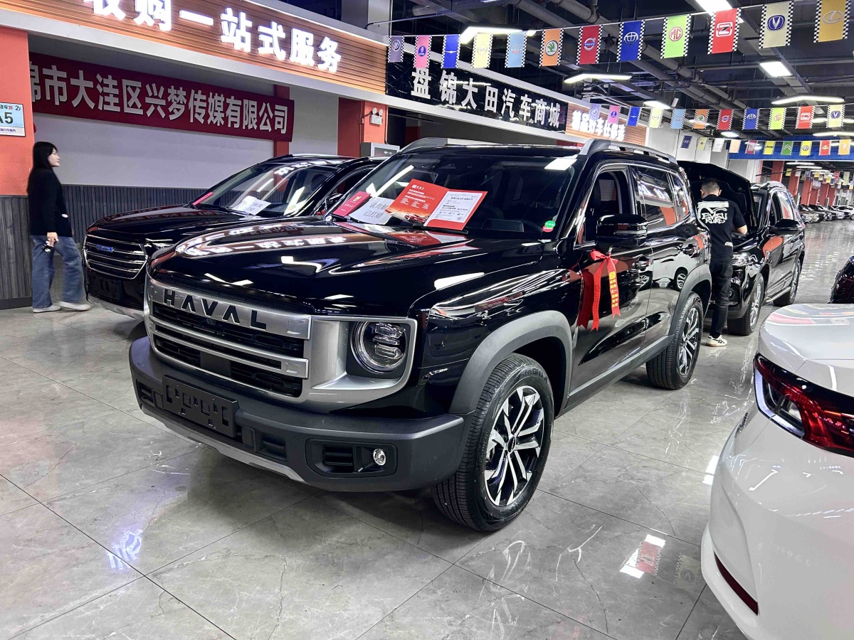 Haval X Dog / Dargo 2024 car image 