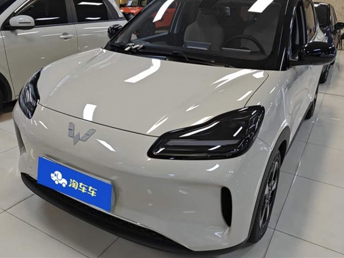 Wuling Binguo PLUS 2024 汽车图片 