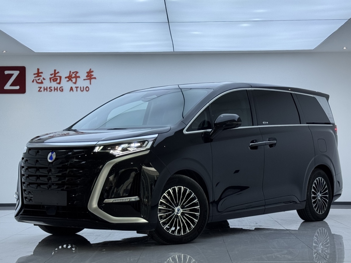 Denza N8L 2023 imagen de coche 