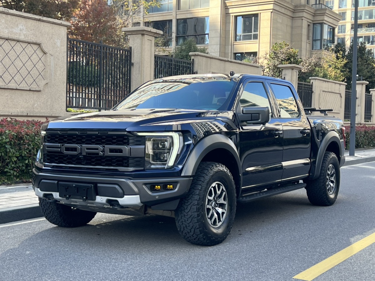 Ford F-150 Raptor 2023 car image 