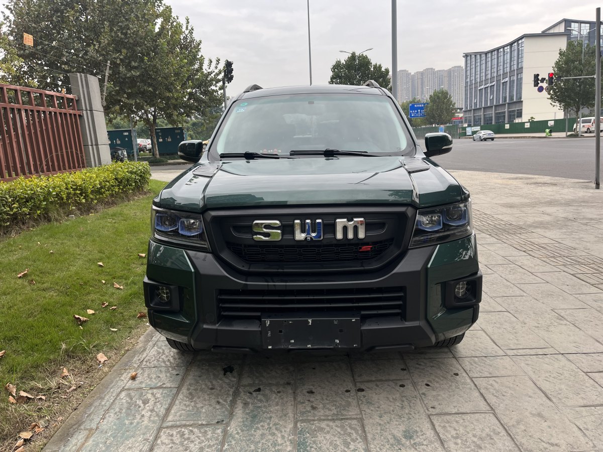 SWM Tiger 2022 汽车图片 