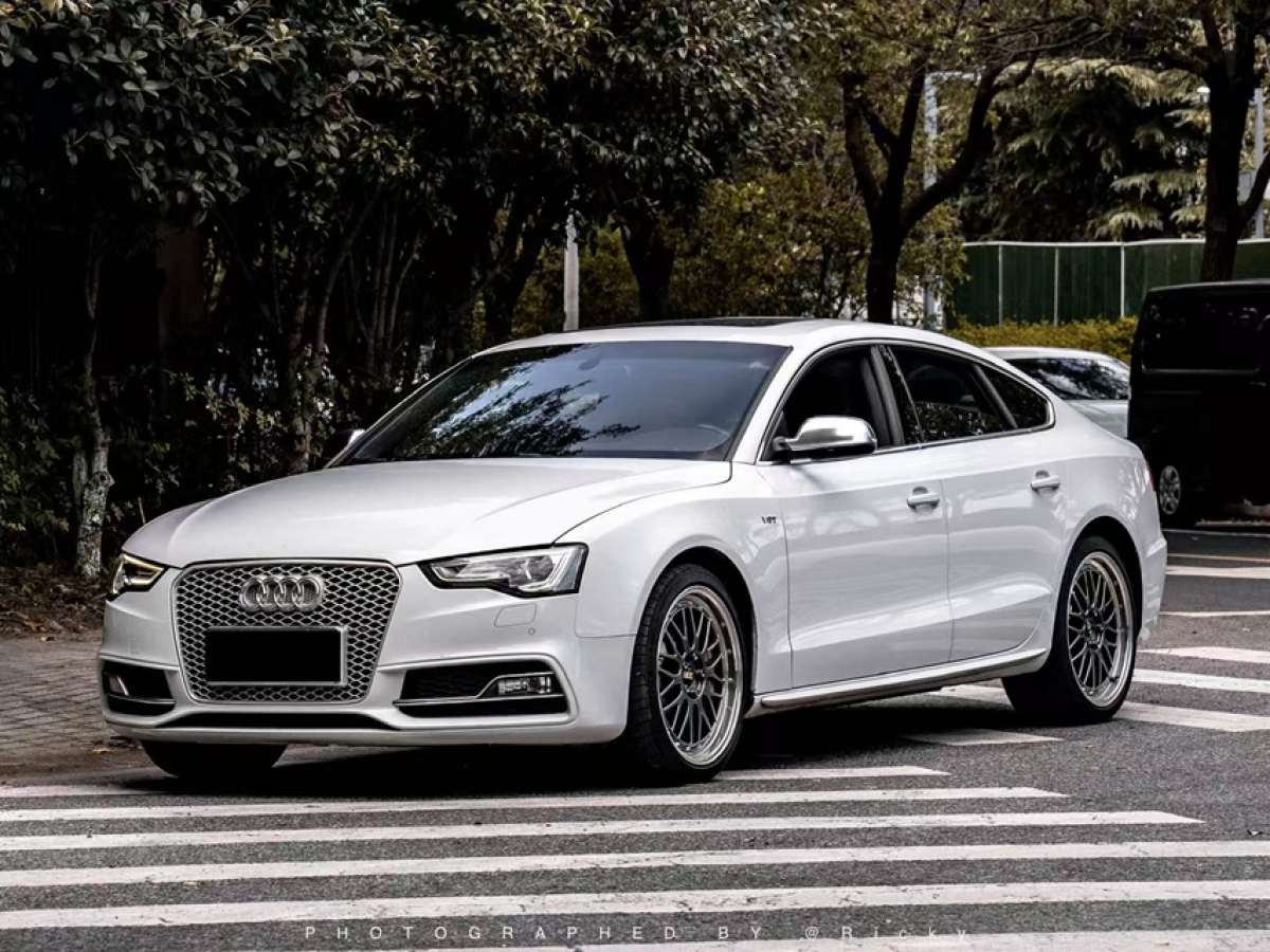 Audi S5 2014 car image 