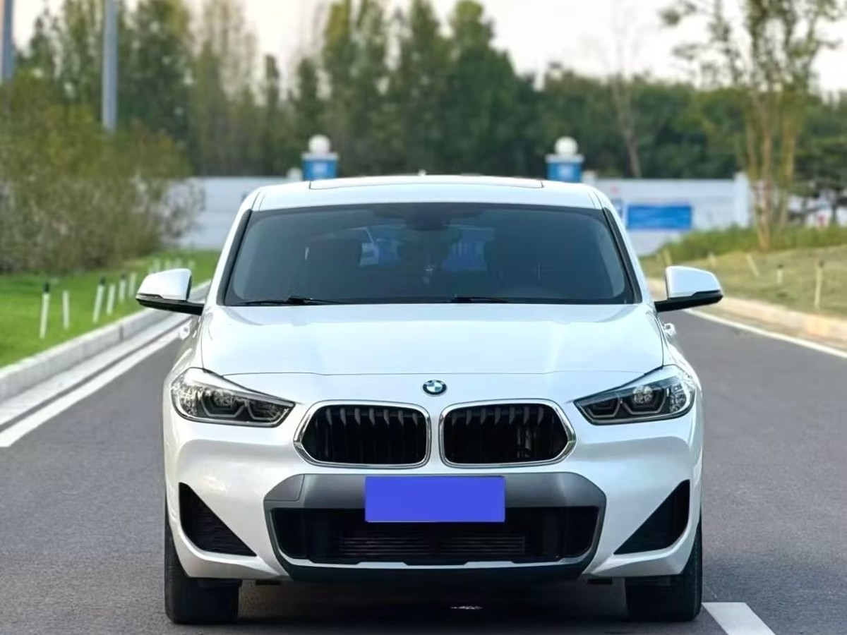 BMW X2 2019 car image 