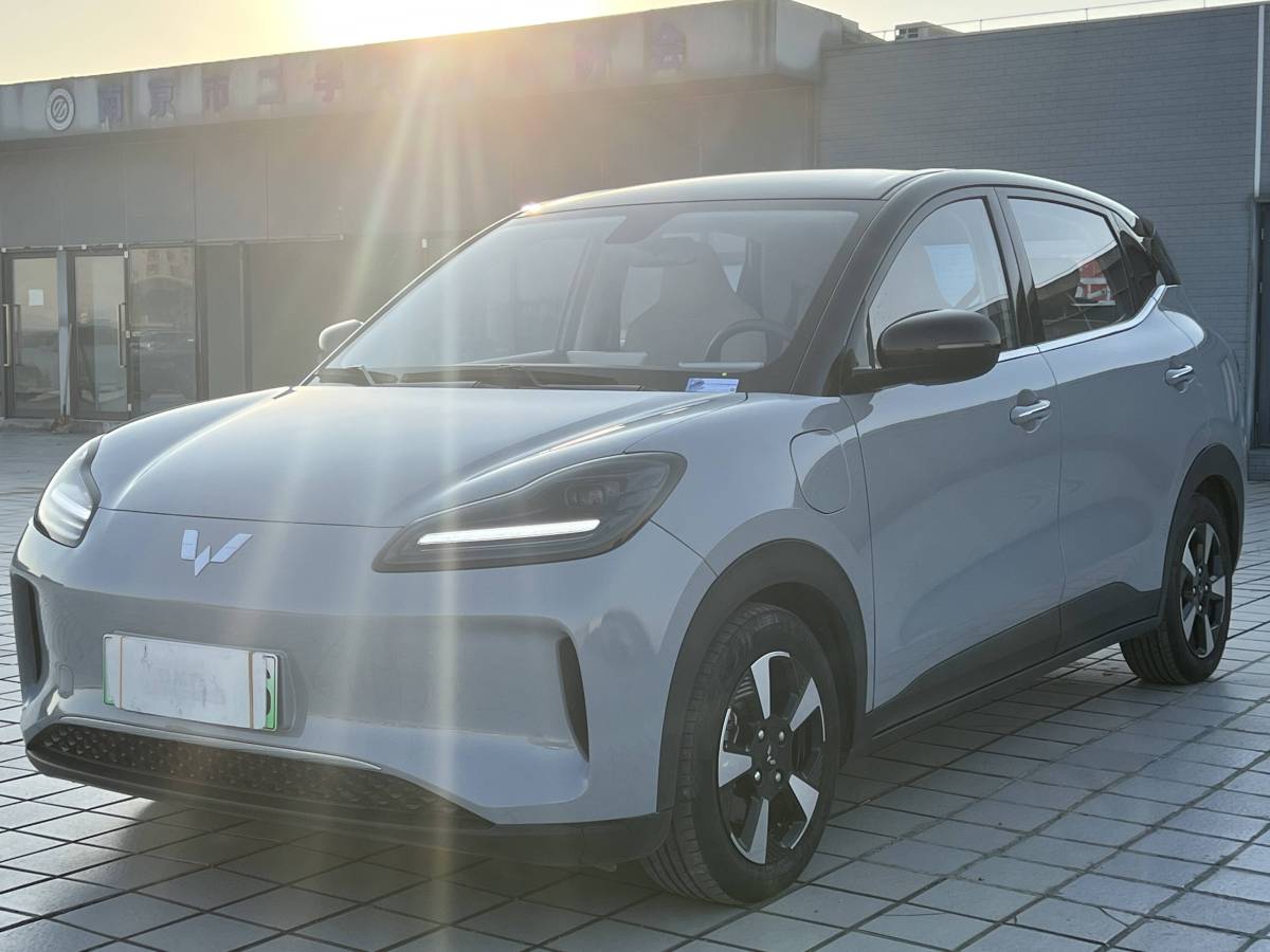 Wuling Binguo PLUS 2024 汽车图片 