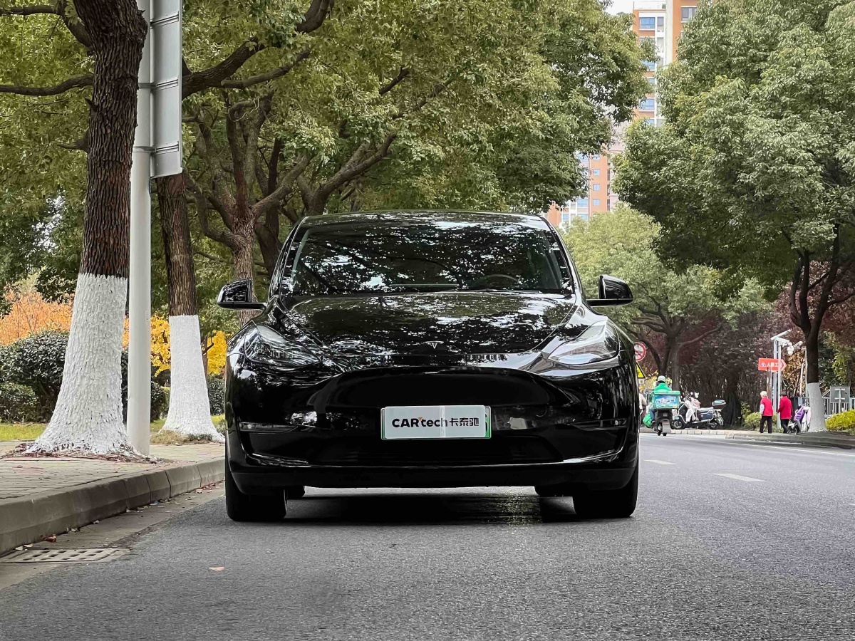Tesla Model Y 2022 Tesla Model Y 2022 car image