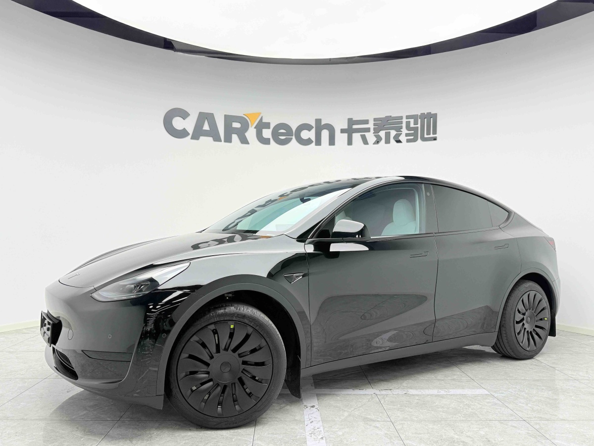 Tesla Model Y 2023 Tesla Model Y 2023 car image