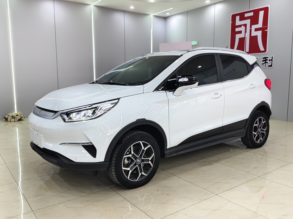 BYD Yuan Pro 2022 car image 