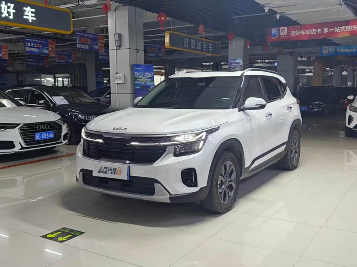 Kia Seltos 2024 car image 
