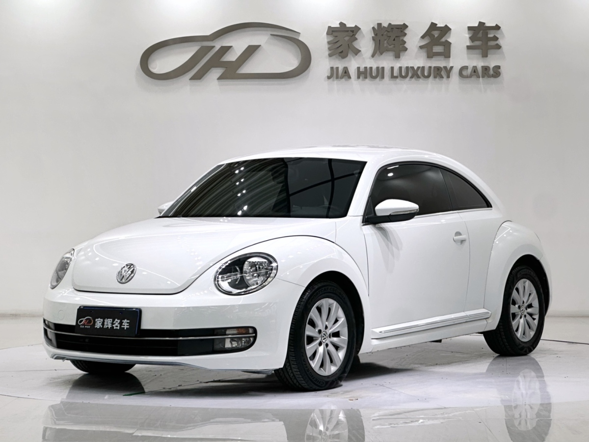 Volkswagen 2016 Volkswagen 2016 car image