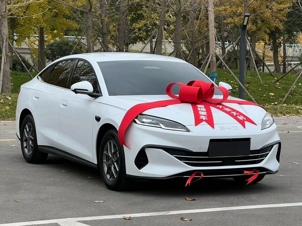 BYD Seal 06 New Energy 2025 car image 