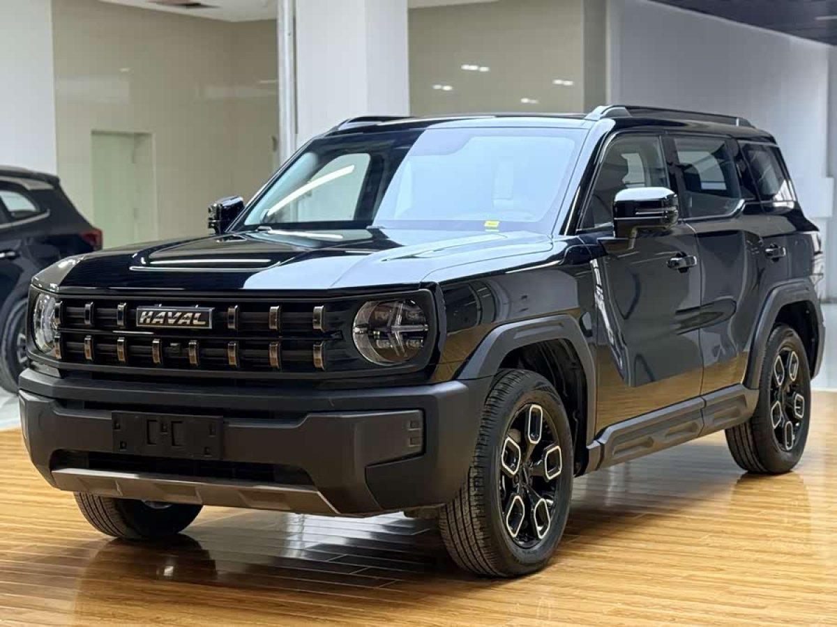 Haval Dargo 2023 car image 
