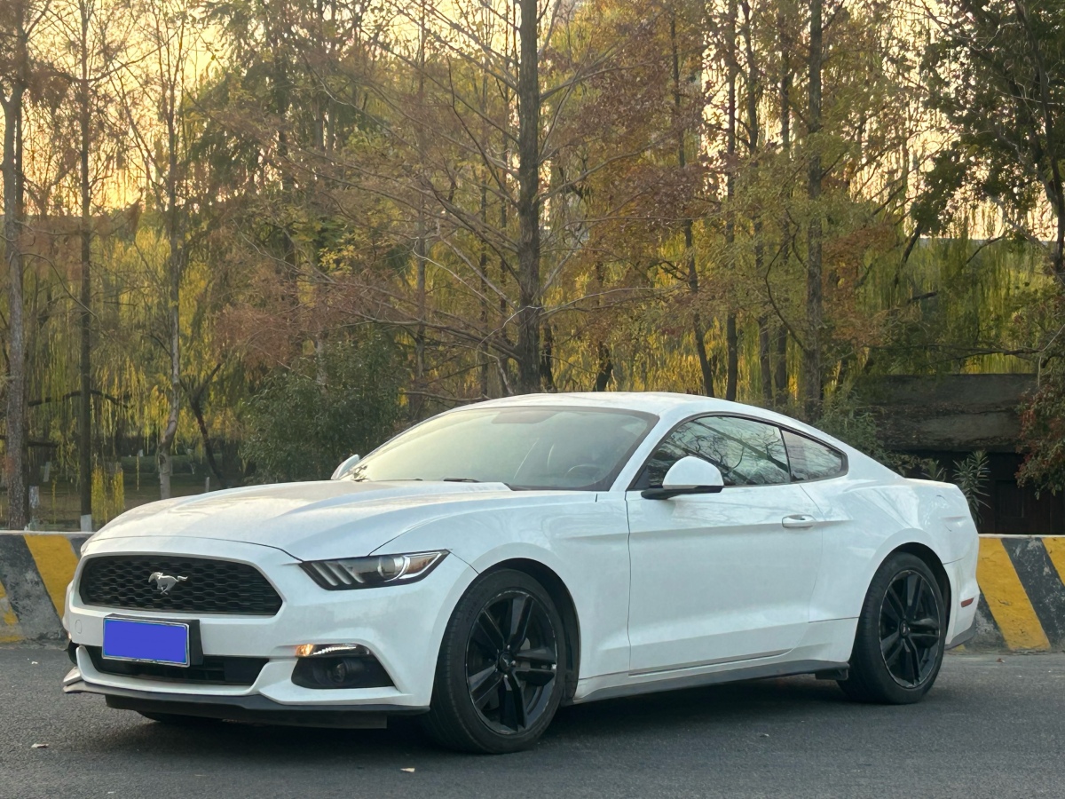 Ford Mustang 2016 car image 