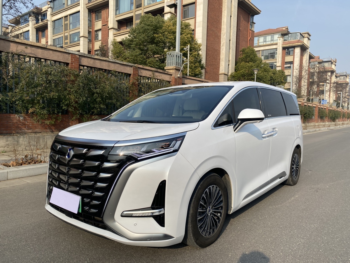 Denza D9 2024 immagine di auto 