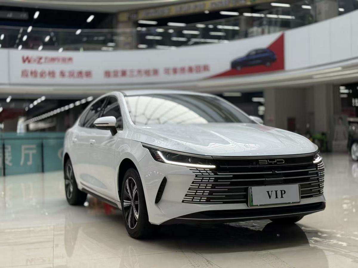 BYD Destroyer 05 2023 BYD Destroyer 05 2023 car image
