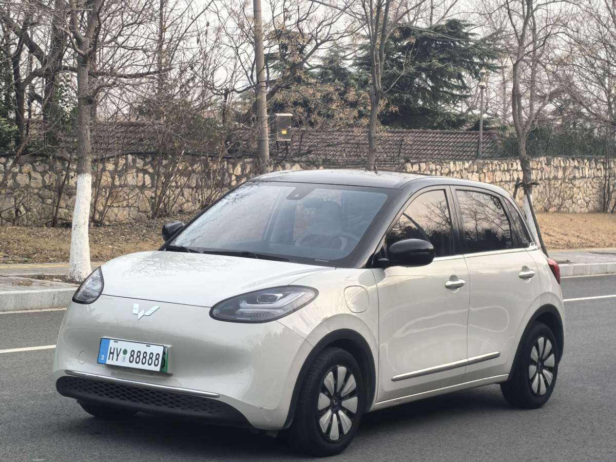 Wuling Binguo 2023 汽车图片 