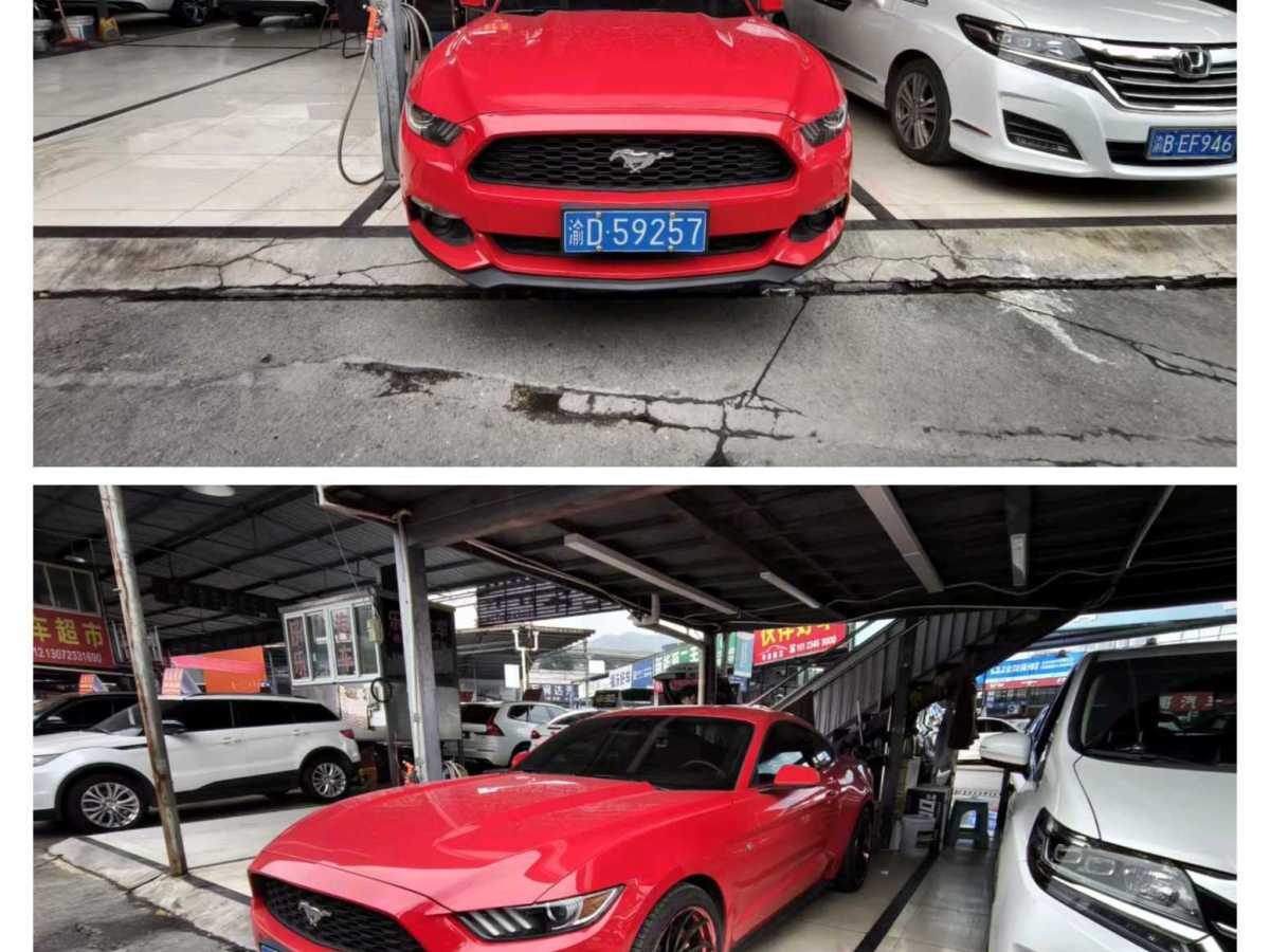 Ford Mustang 2015 car image 