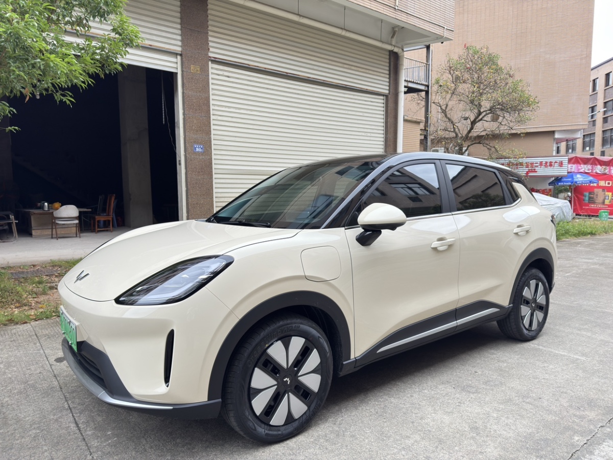 Wuling Binguo 2025 汽车图片 