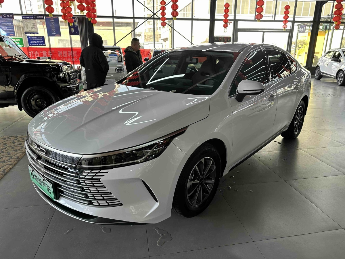 BYD Destroyer 05 2024 immagine di auto 