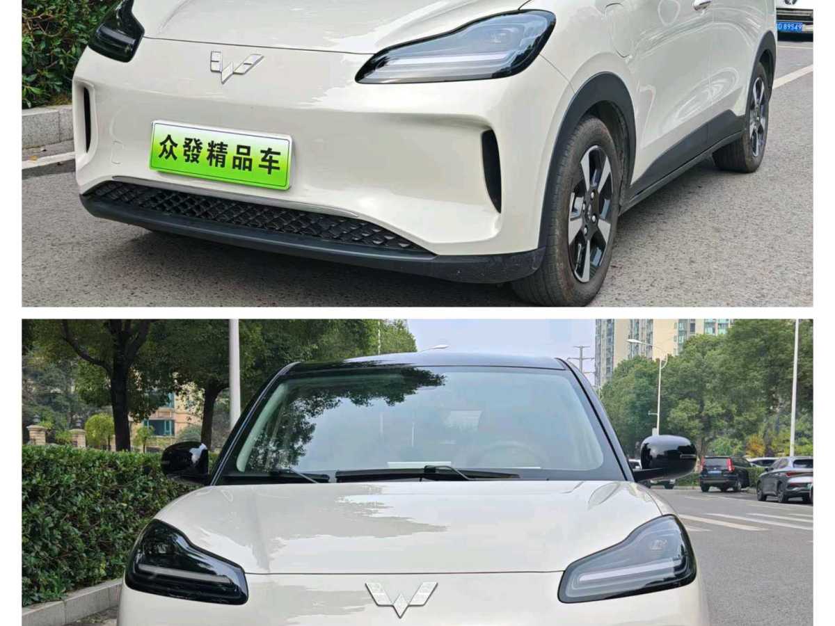 Wuling Binguo PLUS 2024 汽车图片 