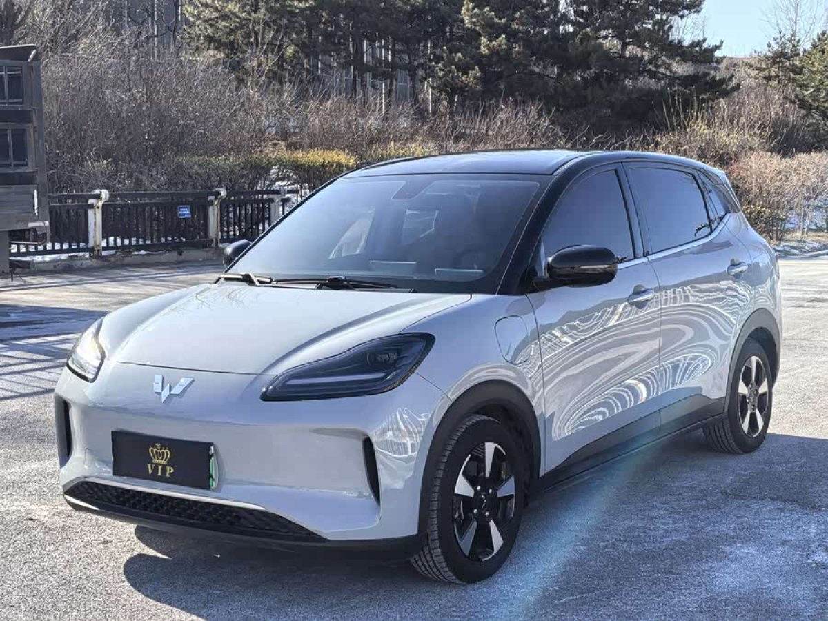 Wuling Binguo PLUS 2024 汽车图片 