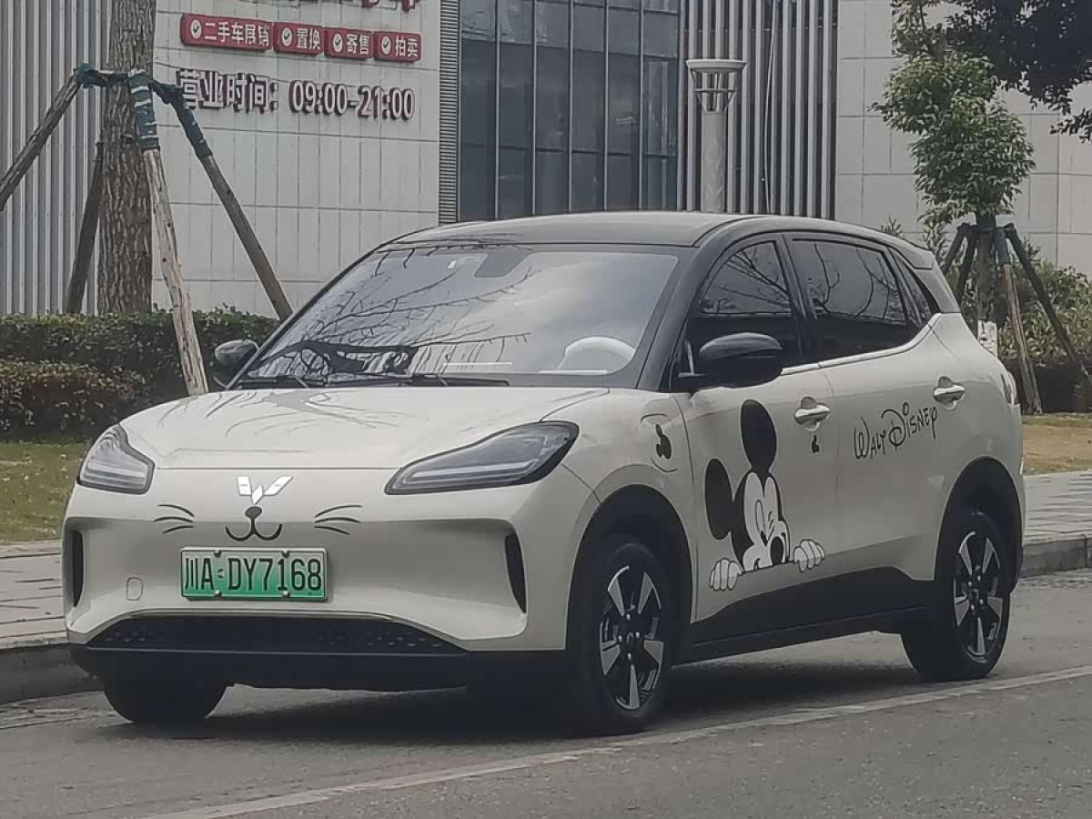 Wuling Binguo PLUS 2024 汽车图片 