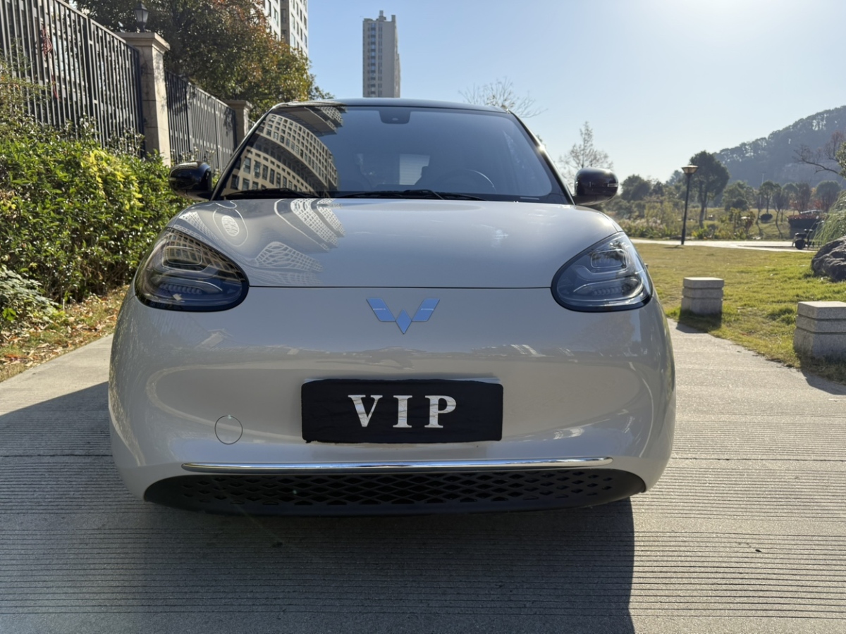 Wuling Binguo 2024 汽车图片 
