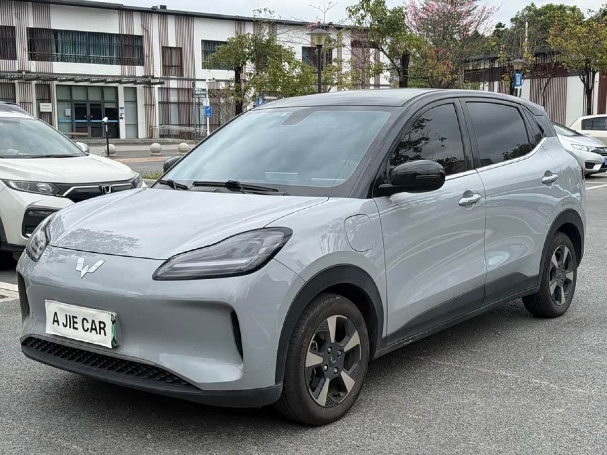 Wuling Binguo PLUS 2024 汽车图片 