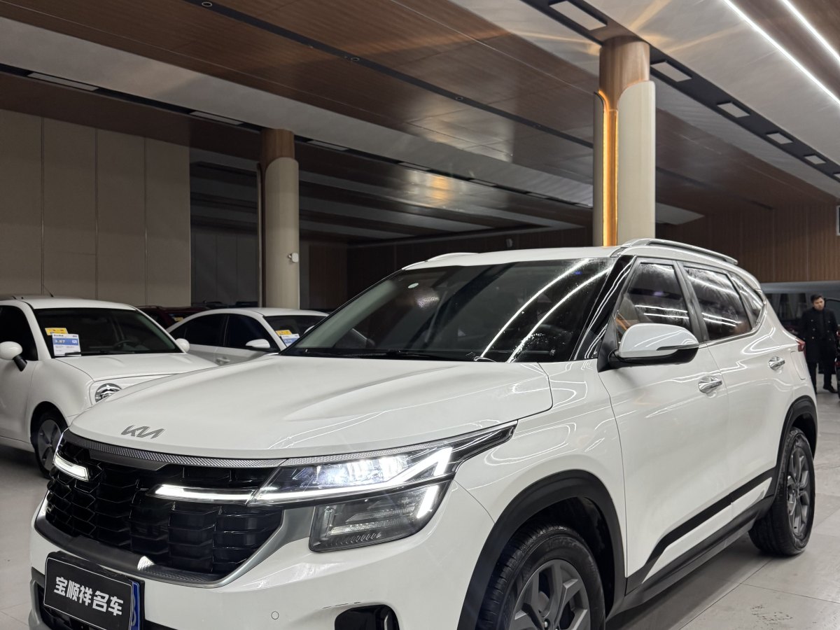 Kia Seltos 2024 car image 