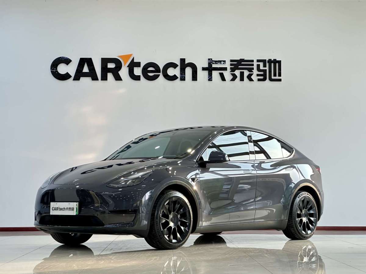 Tesla Model Y 2024 Tesla Model Y 2024 car image