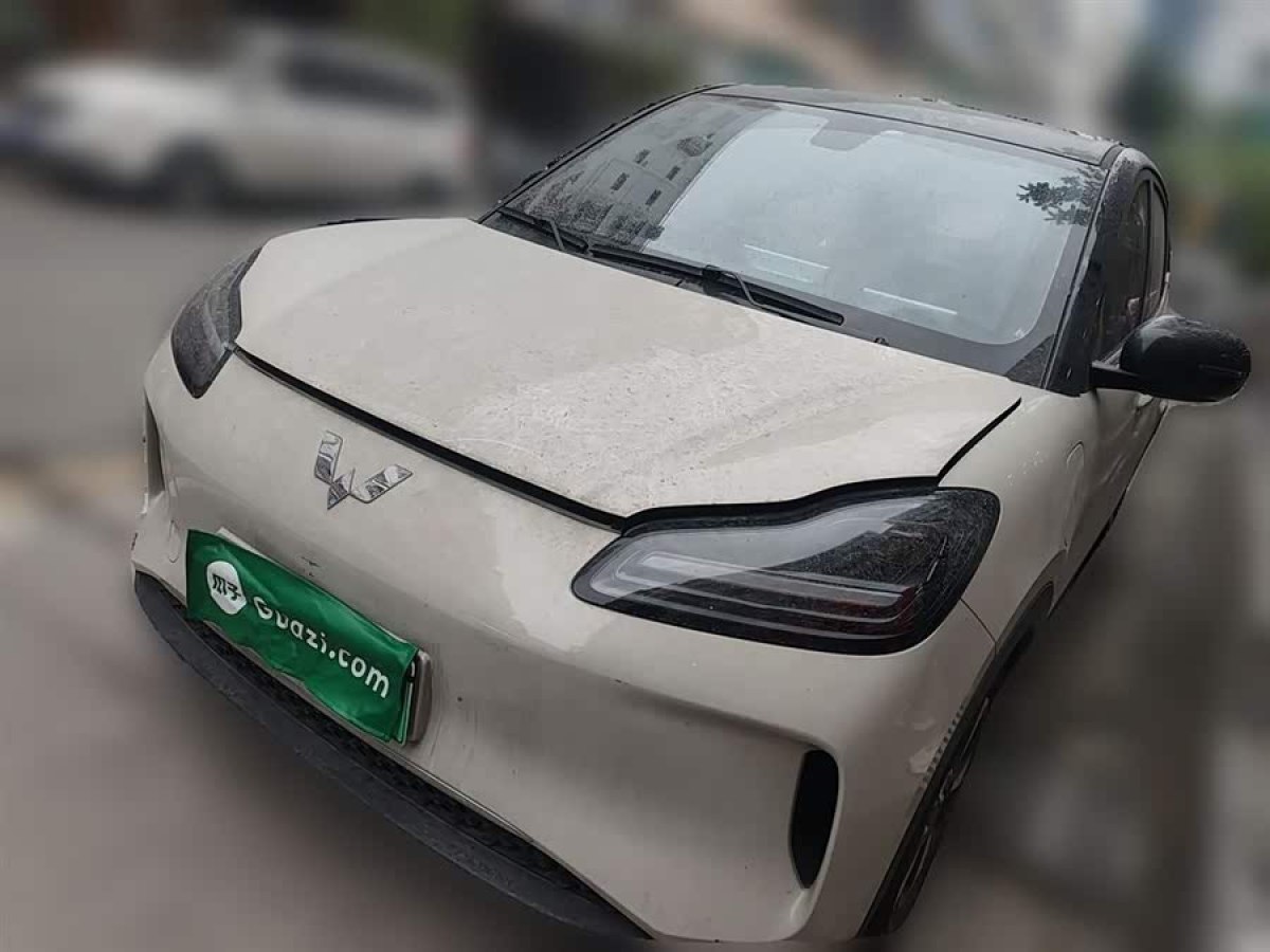 Wuling Binguo PLUS 2024 汽车图片 