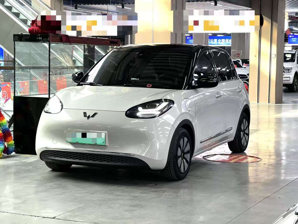 Wuling Binguo 2023 汽车图片 