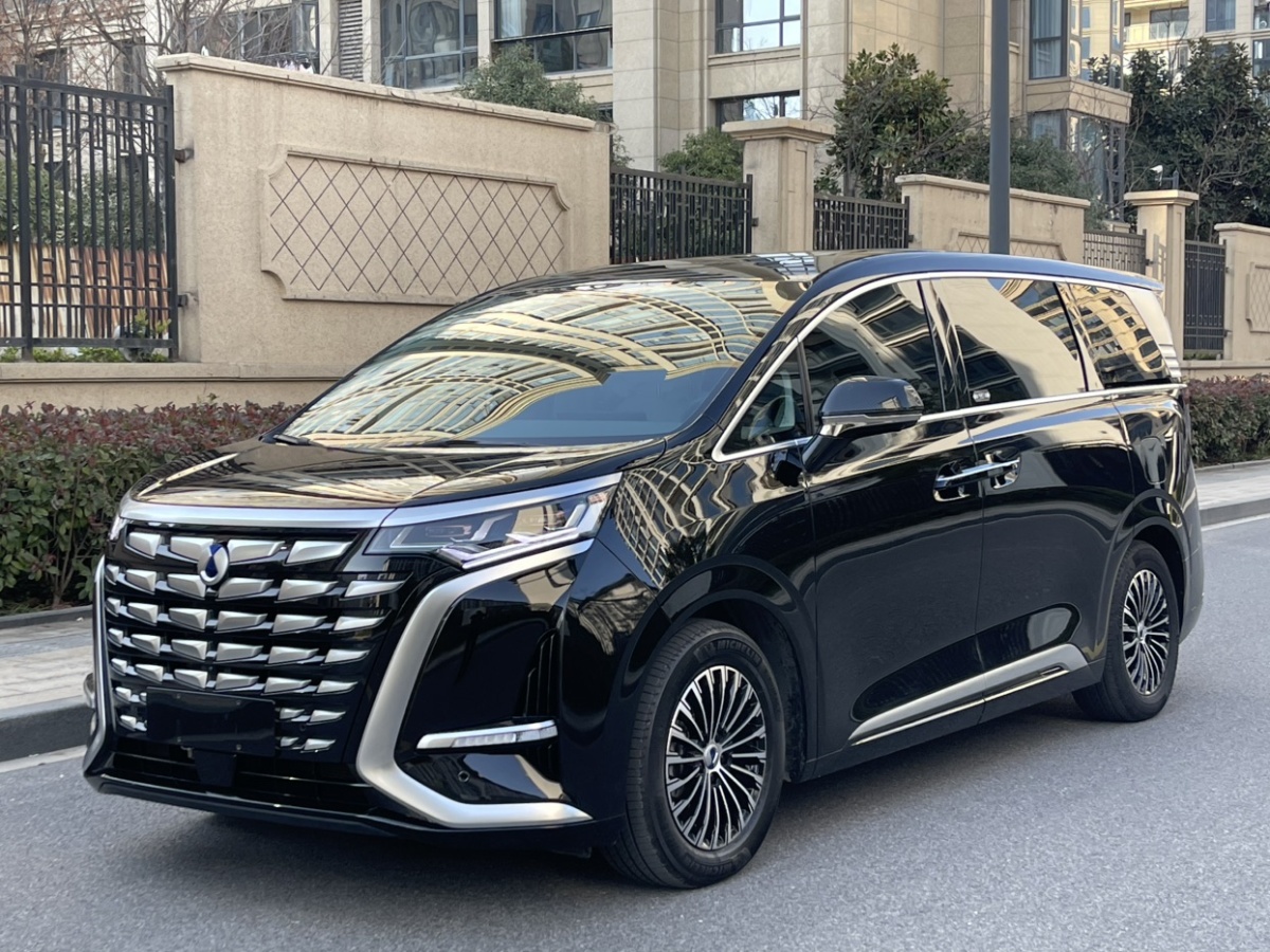 Denza D9 2023 car image 