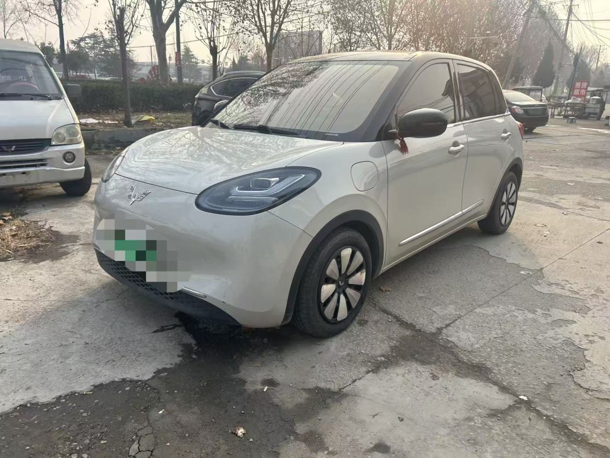 Wuling Binguo 2023 汽车图片 