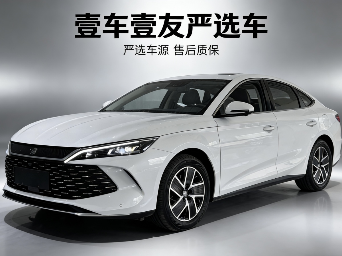 BYD Qin L 2024 car image 
